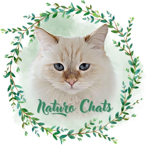 Naturopathe pour chats